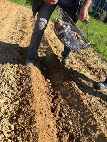 4aeb4f88-39dc-423b-ac99-9ad9ec2fa1d2