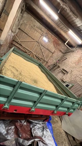 73eb635a-ac54-465b-b1ff-78f99ccbce6c