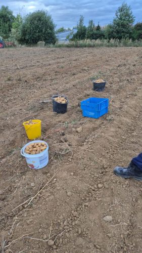 837eaa75-af82-42fc-a9cf-90d8e7d1fc11