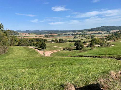 8b2fafc8-9290-4728-a115-fabd58efc720