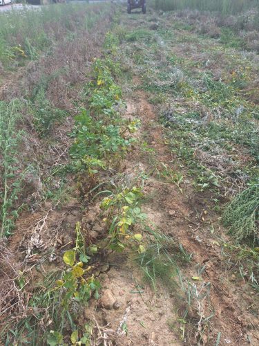 cc84dd12-81c2-4e97-a812-bc2e19b4e56e