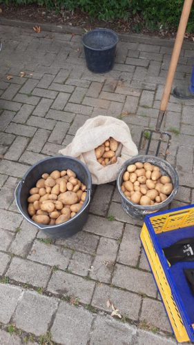 e5b92bb6-3984-44d6-813a-aa89fd07f333