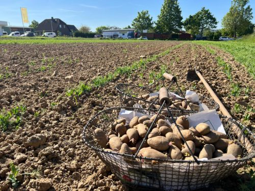 ec38d142-9226-4912-941c-cc3d54ad9206