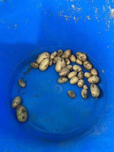 f832b435-e4ca-4f10-bab0-27c5b49666b2